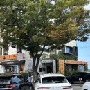 롯데쇼핑(주)프리미엄아울렛동부산점직원식당 | 동부산 데이트_ 흑송(웨이팅&amp;주차), 이케아, 롯데프리미엄 아울렛 🍜🛒💗