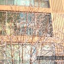 영등신일 이미지