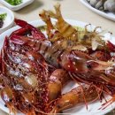 천금회수산 티스토리