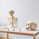 상록탑정형외과의원 | 정형외과에서 알아두면 유익한 건강 지식