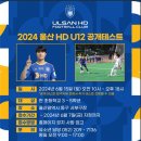 K리그1 울산, 내달 15일 U-12 유소년 선수 선발 '공개 테스트' 이미지