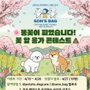 감자국댕치원 네이버블로그