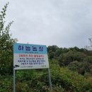 송삼1길-1 네이버블로그