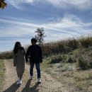 레전드호텔 | 2021.10.21-10.26 5박 6일 남해여행 &amp; 여행 일정 및 여행 경비