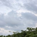 궁동지구 - 2362 | 샤브궁 동백점, 용인 동백 샤브샤브 맛집 푸짐함에 반한 솔직 후기(경기용인 맛집)