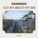 원주 출렁다리민박 | 원주 소금산 출렁다리 현실 후기 : 생각보다 긴 코스, 아이 동반 필수 꿀팁