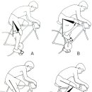 자전거 기본 피팅(체형에 관하여,,,) 이미지