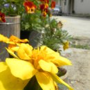 산들바람펜션 이미지