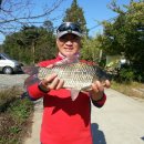 대요낚시터 이미지