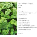 준영농장 이미지