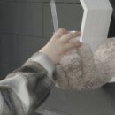 곰손카페