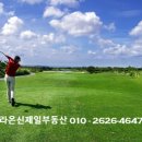 라온 아쿠아풀 이미지