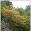 (주)정다운 여행 이미지