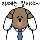 겨울사진집