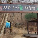 양촌 유아숲체험원 이미지