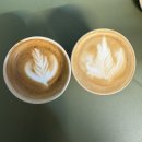 해정목장 | 🇦🇺멜버른 퍼핑빌리,필립아일랜드,와이너리 투어_줌줌투어 조이투어 내돈내산