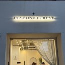 다이아몬드(DIAMOND) | DIAMOND FOREST 다이아몬드포레스트, 랩그로운다이아몬드 전문 주얼리, 내돈내산 후기