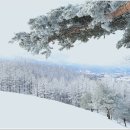 설화목장 이미지