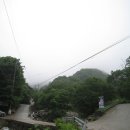 오봉농장 이미지