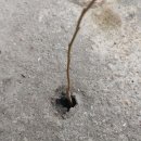 기아직원자동차정비소 이미지