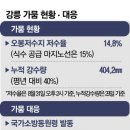 이례로 이미지