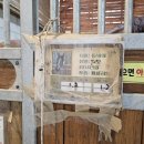 (주)클린블루 | 안성팜랜드 방문 후기(feat.은퇴경주마)