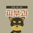 토비동물병원 이미지
