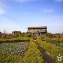 팜카밀레 이미지