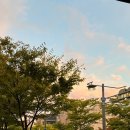 밤가시공원 화장실 이미지