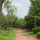 침묵속에피어나는우리 이미지