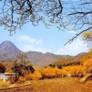 2017년 4월 2일 양평 추읍산 산행과 산수유 축제 이미지