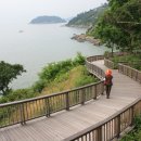 솔숲과 바다 이미지