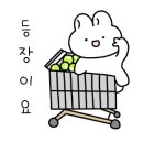 김도희테니스아카데미 이미지