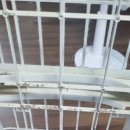 마음홈케어 이미지