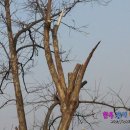 감나무집할배네 이미지