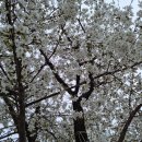 다힘 태권도 이미지