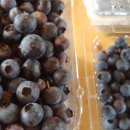 예림이네민박 이미지