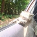 알파사우나 이미지