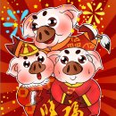 화랑돼지 이미지