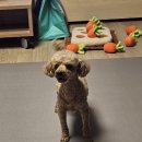 회진상회 | 2026년 2월