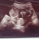 미즈메디병원 이미지