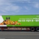 수애드코리아 네이버블로그