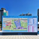 하루in | 2026 포켓몬 런 in 서울 잉어킹 &amp; 갸라도스와 달린 하루 후기