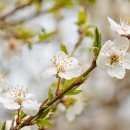 달천경로당 이미지