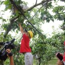 리틀영재어린이집 이미지