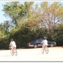일산중학교 Daum카페