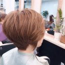 비비헤어비스 이미지