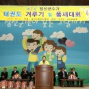 정선태권도체육관 이미지