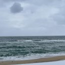 봉포리 상상마당 이미지