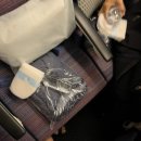 647 | 인천(ICN)-싱가포르(SIN) 대한항공 KE647, KE644 탑승기 및 기내식 후기